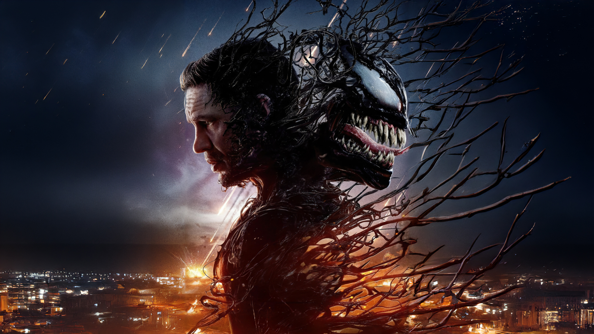 Venom: The Last Dance A glimpse of an unseen world